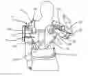 Fig. 01 - Interface system in an exoskeleton