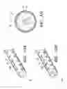 Fig. 16 - Implants with controlled drug delivery features and methods of using same