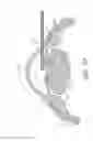 Fig. 62 - Implants with controlled drug delivery features and methods of using same