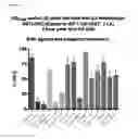 Fig. 02 - SALTS AND COMPOSITIONS USEFUL FOR TREATING DISEASE