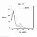 Fig. 07 - CANCERS EXPRESSING CCR5 AND METHODS OF TREATMENT OF SAME