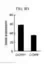 Fig. 22 - CANCERS EXPRESSING CCR5 AND METHODS OF TREATMENT OF SAME