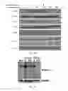 Fig. 07 - Method of preventing or treating osteoporosis by neddylation inhibitor