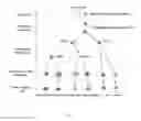 Fig. 02 - TRANSIENT PROTECTION OF HEMATOPOIETIC STEM AND PROGENITOR CELLS AGAINST IONIZING RADIATION