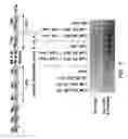 Fig. 09 - Combination therapy for treating malignancies
