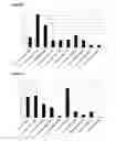 Fig. 09 - Prebiotic composition and its methods of production