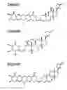 Fig. 01 - Pharmaceutical Composition for Treating STK11-Mutation Cancer Using Cardiac Glycosides