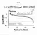 Fig. 09 - Pharmaceutical Composition for Treating STK11-Mutation Cancer Using Cardiac Glycosides