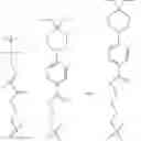 Fig. 63 - POLYNUCLEOTIDES HAVING BIOREVERSIBLE GROUPS