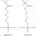 Fig. 76 - POLYNUCLEOTIDES HAVING BIOREVERSIBLE GROUPS