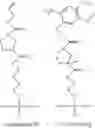 Fig. 79 - POLYNUCLEOTIDES HAVING BIOREVERSIBLE GROUPS