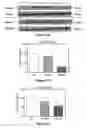 Fig. 02 - Compositions and Methods for the Prevention of Microbial Infections