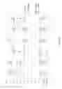 Fig. 09 - Peroxide formulations and methods and applicators for using the same
