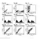 Fig. 05 - ENGINEERED INTEGRIN BINDING PEPTIDE COMPOSITIONS