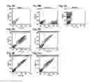 Fig. 06 - ENGINEERED INTEGRIN BINDING PEPTIDE COMPOSITIONS