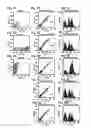 Fig. 08 - ENGINEERED INTEGRIN BINDING PEPTIDE COMPOSITIONS