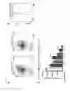 Fig. 09 - Regulatory T cell PD-1 modulation for regulating T cell effector immune responses