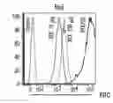Fig. 01 - A NANOMATERIAL COMPLEX COMPRISING GRAPHENE OXIDE ASSOCIATED WITH A THERAPEUTIC AGENT AND METHODS OF USE
