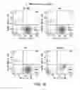 Fig. 09 - A NANOMATERIAL COMPLEX COMPRISING GRAPHENE OXIDE ASSOCIATED WITH A THERAPEUTIC AGENT AND METHODS OF USE