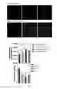 Fig. 07 - A COMPOSITION FOR CONTROLLED RELEASE OF A BIOMOLECULE, METHOD OF PREPARATION AND USES THEREOF