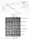 Fig. 06 - Water-soluble docetaxel anticancer drug compound and preparation method and use thereof