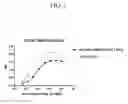 Fig. 02 - CD147 ANTIBODIES, ACTIVATABLE CD147 ANTIBODIES, AND METHODS OF MAKING AND USE THEREOF