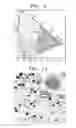 Fig. 08 - Core/double shell structured red light-emitting upconversion nanophosphors