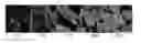 Fig. 01 - COVALENT MODIFICATION OF DECELLULARIZED ALLOGENEIC GRAFTS WITH ACTIVE PHARMACEUTICALS
