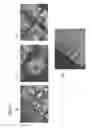 Fig. 06 - Haemostatic device