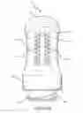 Fig. 12 - Breathing apparatus with mask assembly for delivering breathing gases
