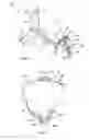 Fig. 02 - Foam respiratory mask