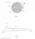 Fig. 02 - Push wire for endoluminal medical device