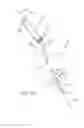 Fig. 02 - Steerable catheters and methods for making them