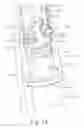 Fig. 41 - Inflator for dilation of anatomical passageway