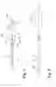 Fig. 02 - BALLOON MATERIAL FOR A BALLOON CATHETER AND PROCESS FOR PRODUCING THE BALLOON