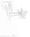 Fig. 06 - Cochlear implant device and stimulating method thereof
