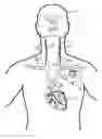 Fig. 01 - Implantable neurostimulator-implemented method for enhancing heart failure patient awakening through vagus nerve stimulation