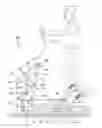 Fig. 01 - Arc center drive elliptical exercise device