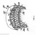 Fig. 03 - Pocket-Channeling Lacrosse Head