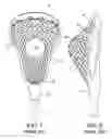 Fig. 04 - Lacrosse stick skills training device and method
