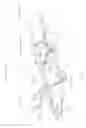 Fig. 06 - Convertible binding