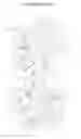 Fig. 09 - 60-Sided and 120-Sided Replacement Dice