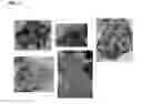 Fig. 02 - Super absorbent polymer
