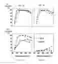 Fig. 02 - CATALYST AND METHOD FOR PREPARING THE SAME