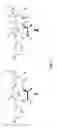 Fig. 02 - Far superior oxidation catalysts based on macrocyclic compounds