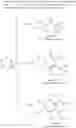 Fig. 35 - Far superior oxidation catalysts based on macrocyclic compounds