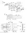 Fig. 32 - Blade elevation mechanisms and anti-backdrive mechanisms for table saws