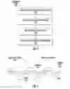 Fig. 07 - Soft robotic actuators for positioning, packaging, and assembling