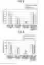 Fig. 06 - Evaluation method for clay and manufacturing method of extrusion molded body