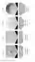 Fig. 07 - Evaluation method for clay and manufacturing method of extrusion molded body
